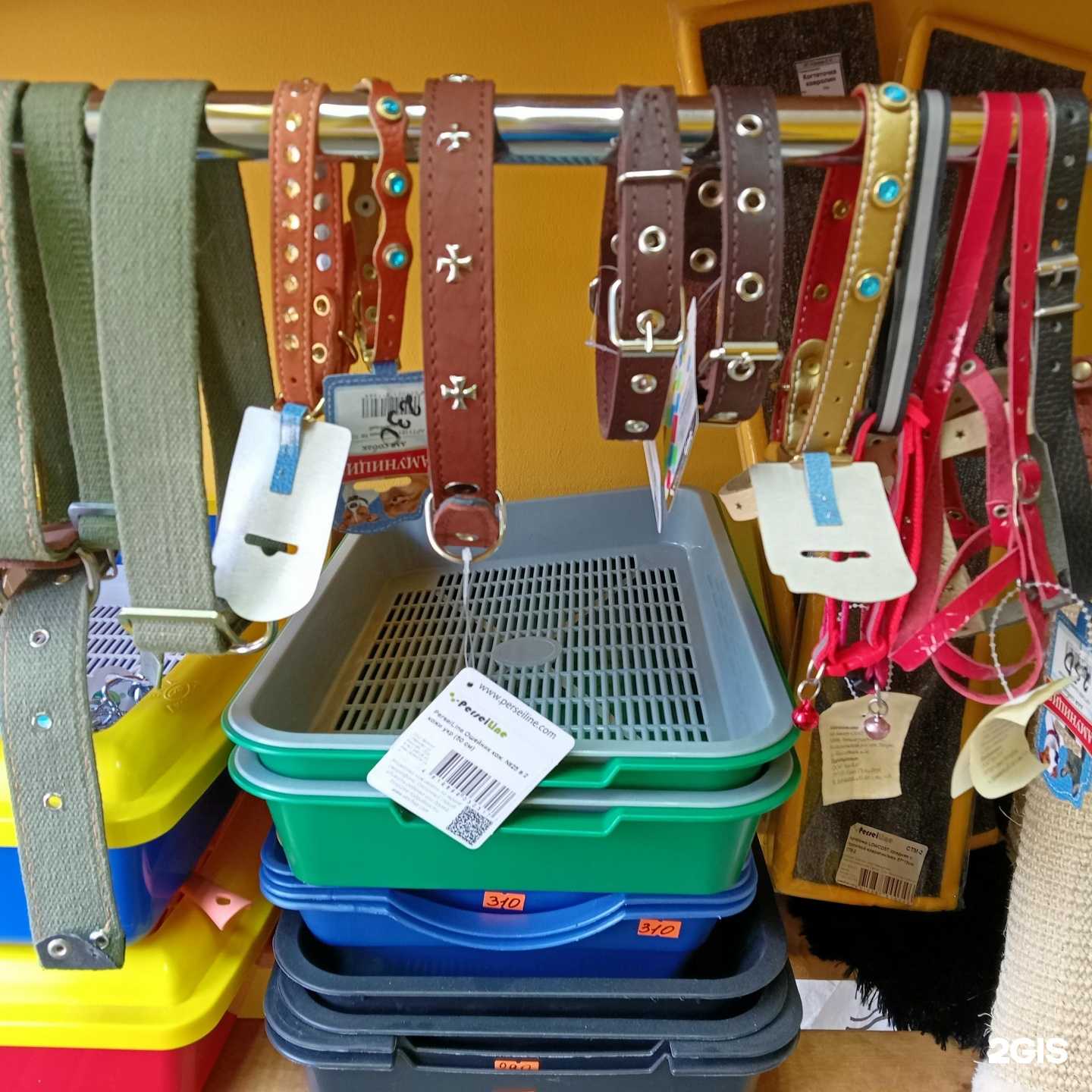 Отзывы на компанию Зоолайф в Уфе c фото