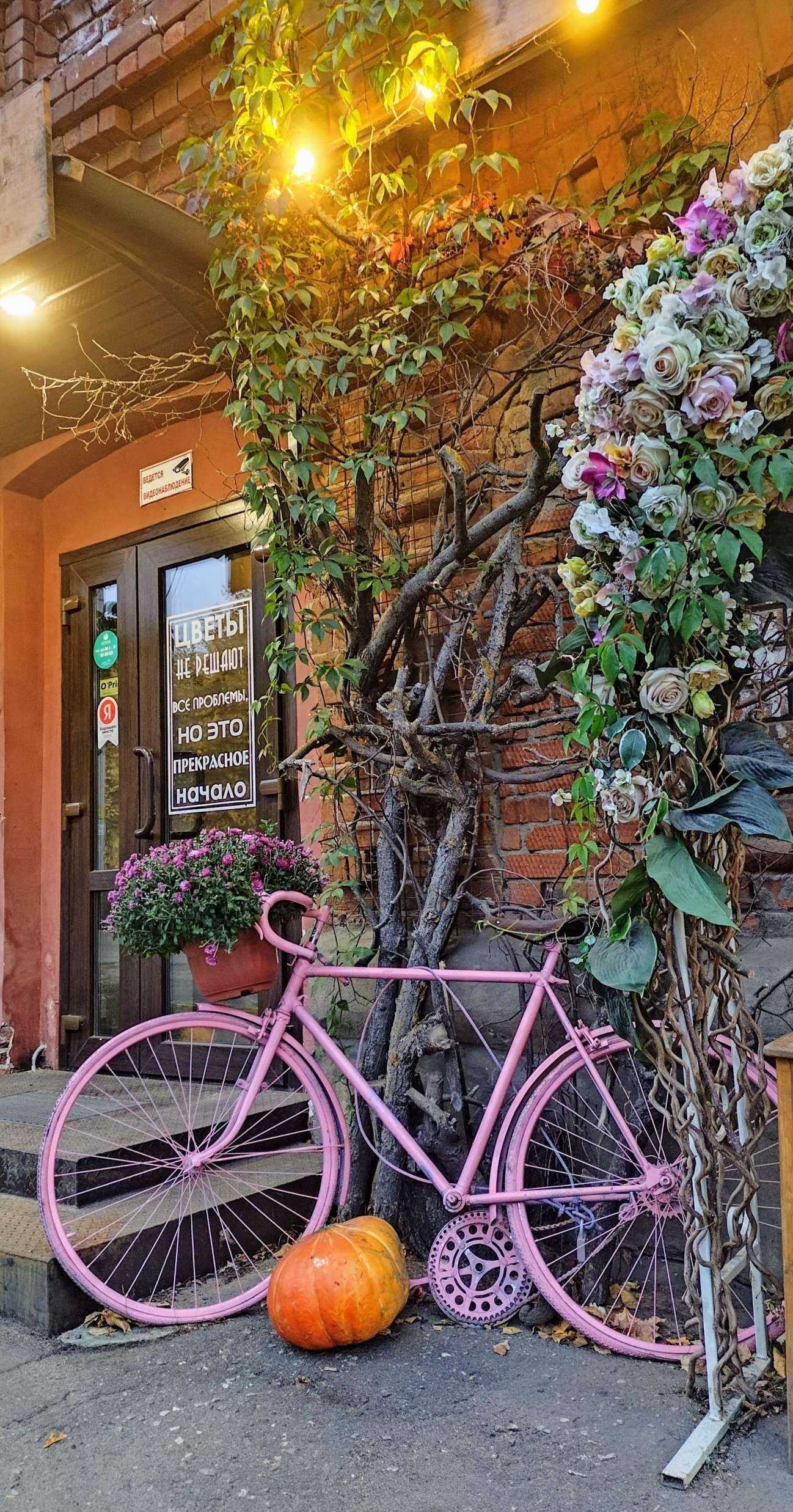 Отзывы на компанию Цветы37 в Иванове c фото - фотография 2 из 2