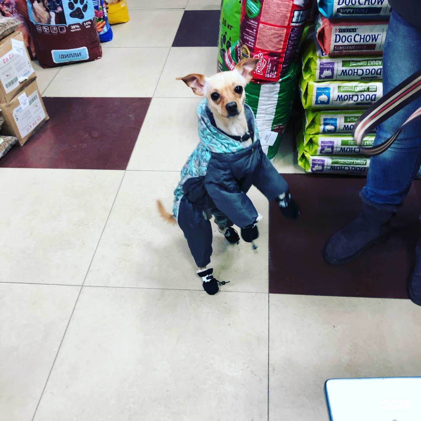 Отзывы на компанию Магазин зоотоваров в Хабаровске c фото