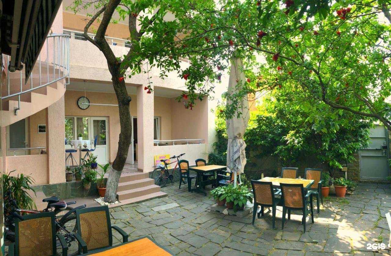 Отзывы на компанию Абрикос в Геленджике c фото