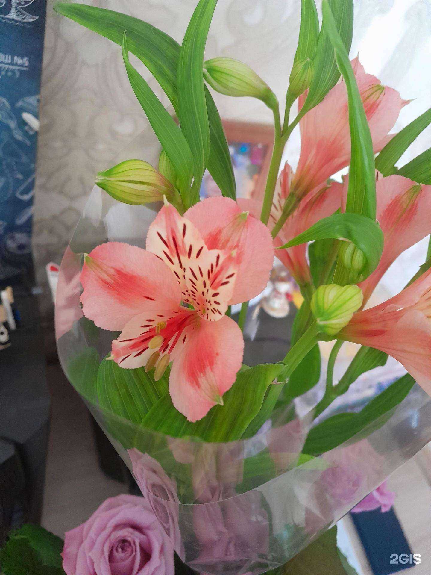 Отзывы на компанию Vetka в Саратове c фото