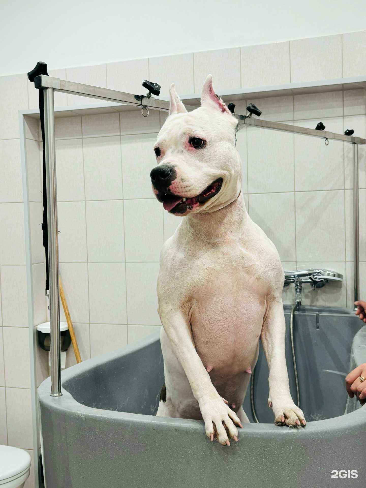 Отзывы на компанию Самисусами в Комсомольске-на-Амуре c фото