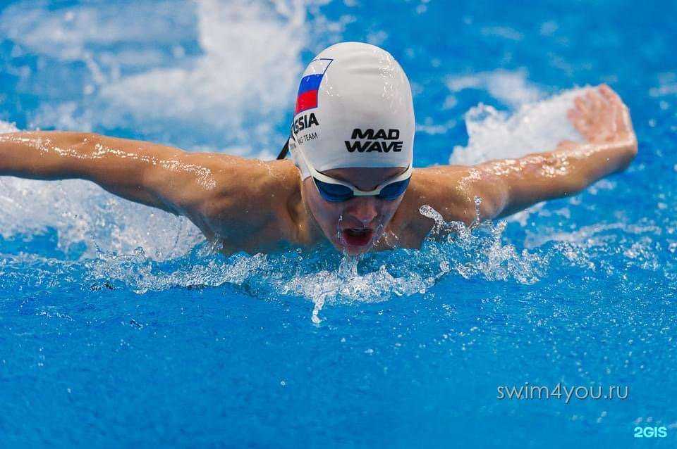 Отзывы на компанию Sibswim в Красноярске c фото