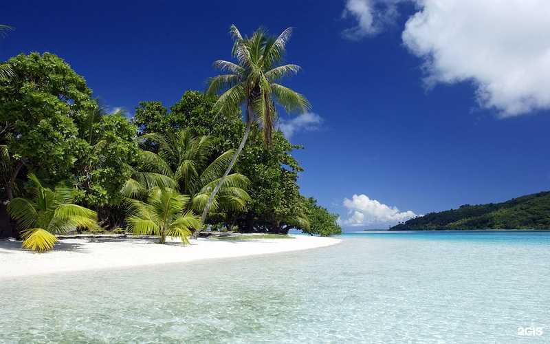 Отзывы на компанию Альфа-тур в Уфе c фото