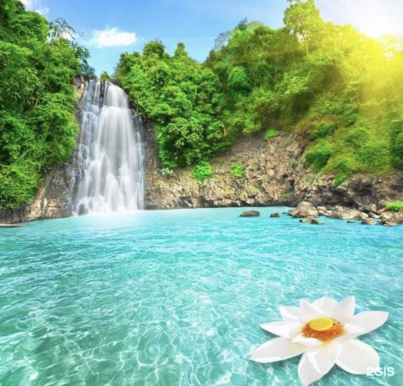 Отзывы на компанию Аква Мир в г. Таганрог c фото