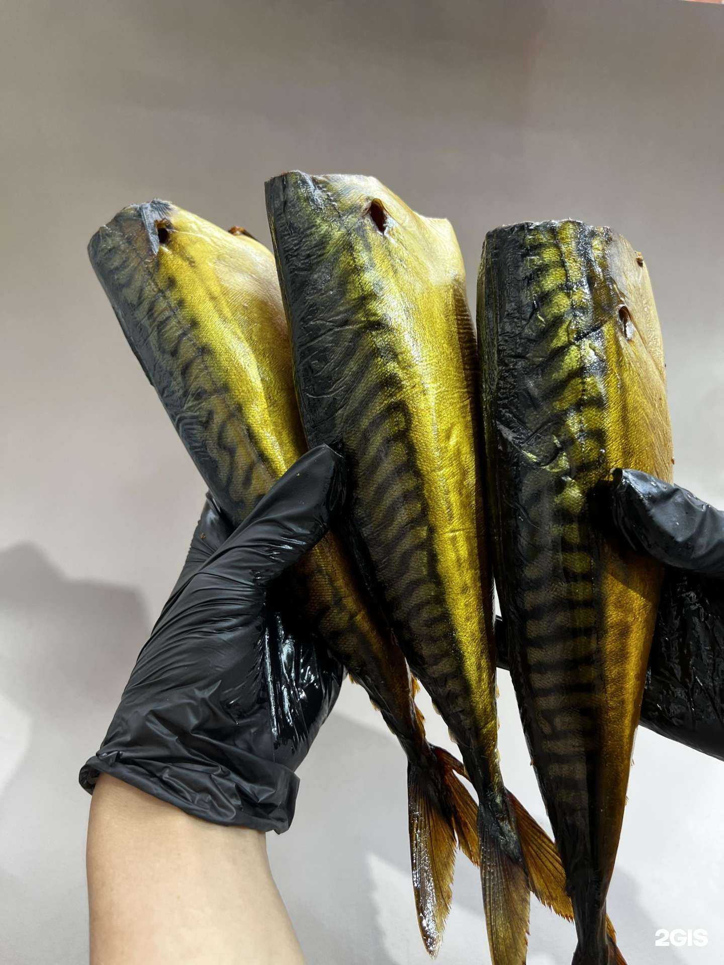 Отзывы на компанию Море рыбы в Сочи c фото