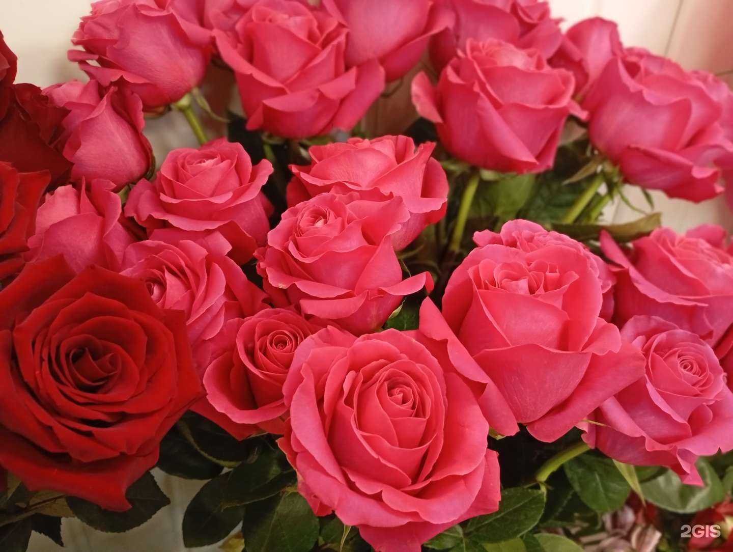 Отзывы на компанию Магазин цветов в Екатеринбурге c фото