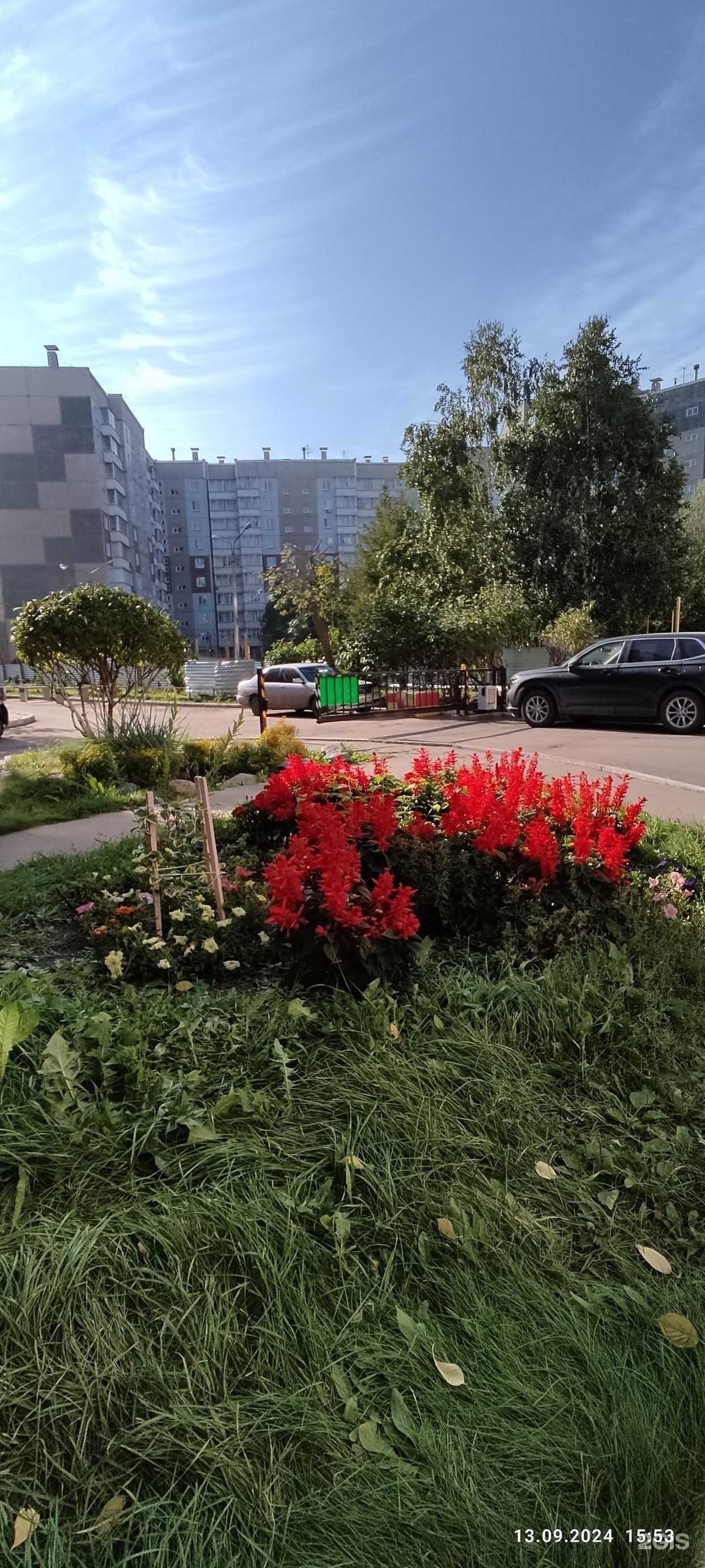 Отзывы на компанию Трансфер Фактор 4Life в Красноярске c фото - фотография 2 из 2