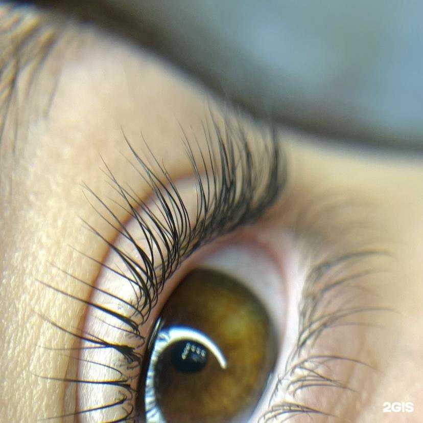 Отзывы на компанию GrimBrow в г. Сочи c фото