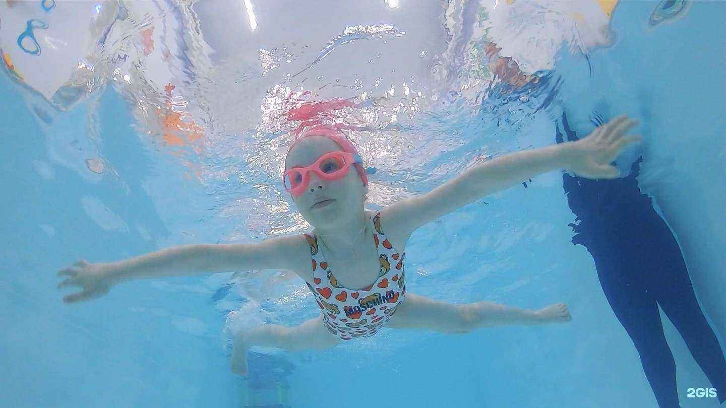 Отзывы на компанию Китенок в Коммунарке c фото