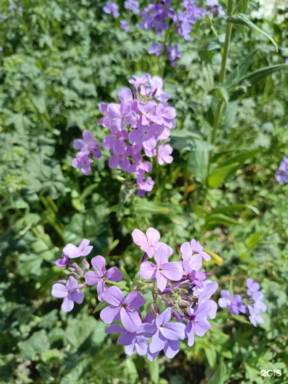 Отзывы на компанию Муромец в Тюмени c фото