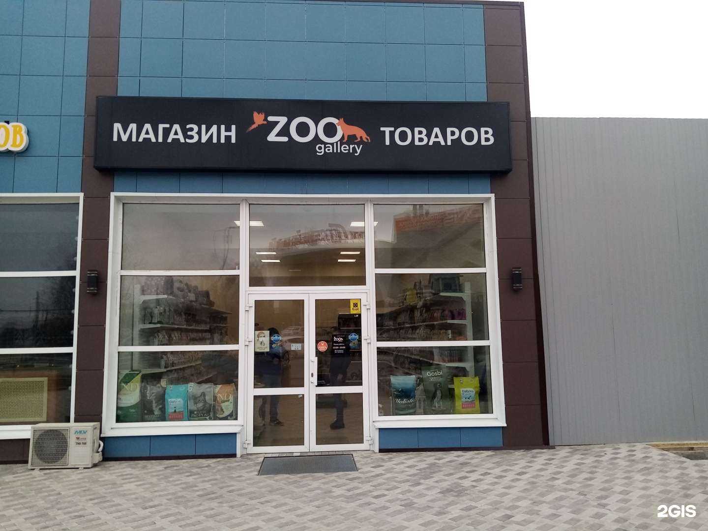 Отзывы на компанию Zoo Gallery в Ульяновске c фото