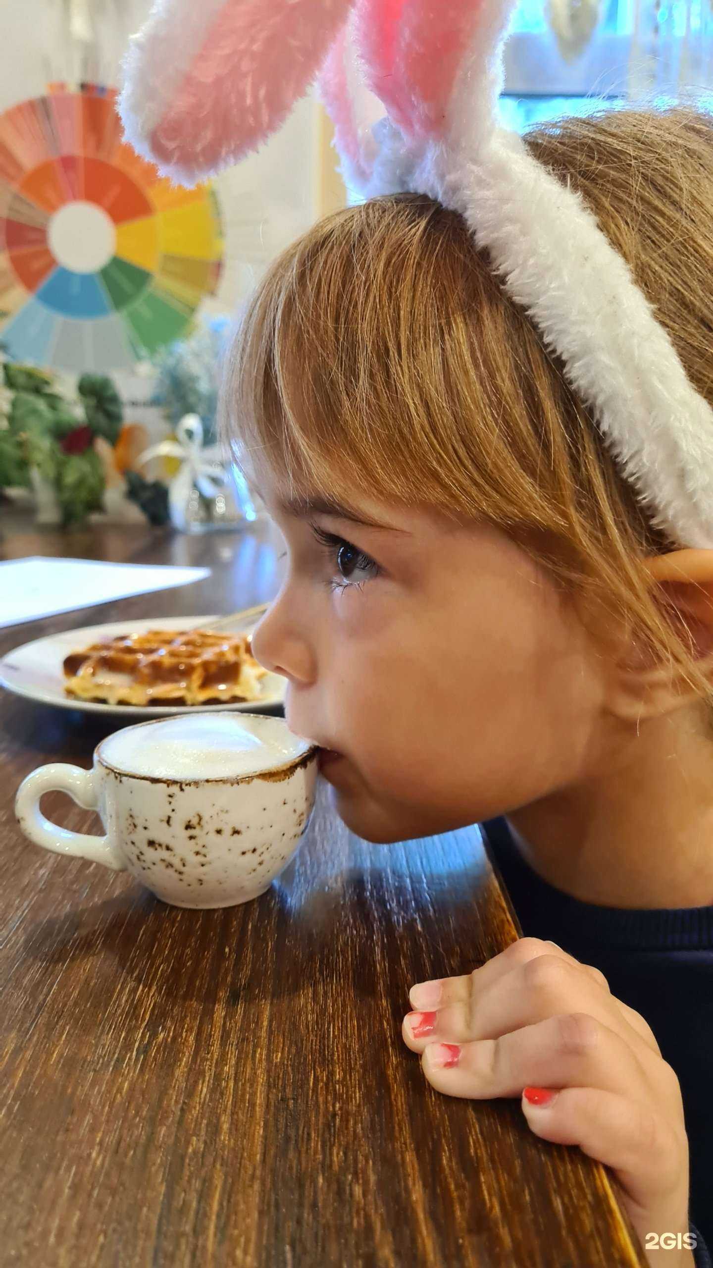 Отзывы на компанию Кафема в Сочи c фото