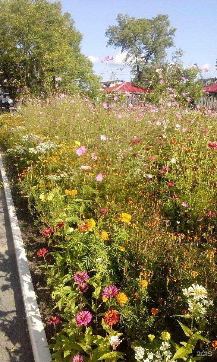 Отзывы на компанию Детский сад №20 в г. Уссурийск c фото