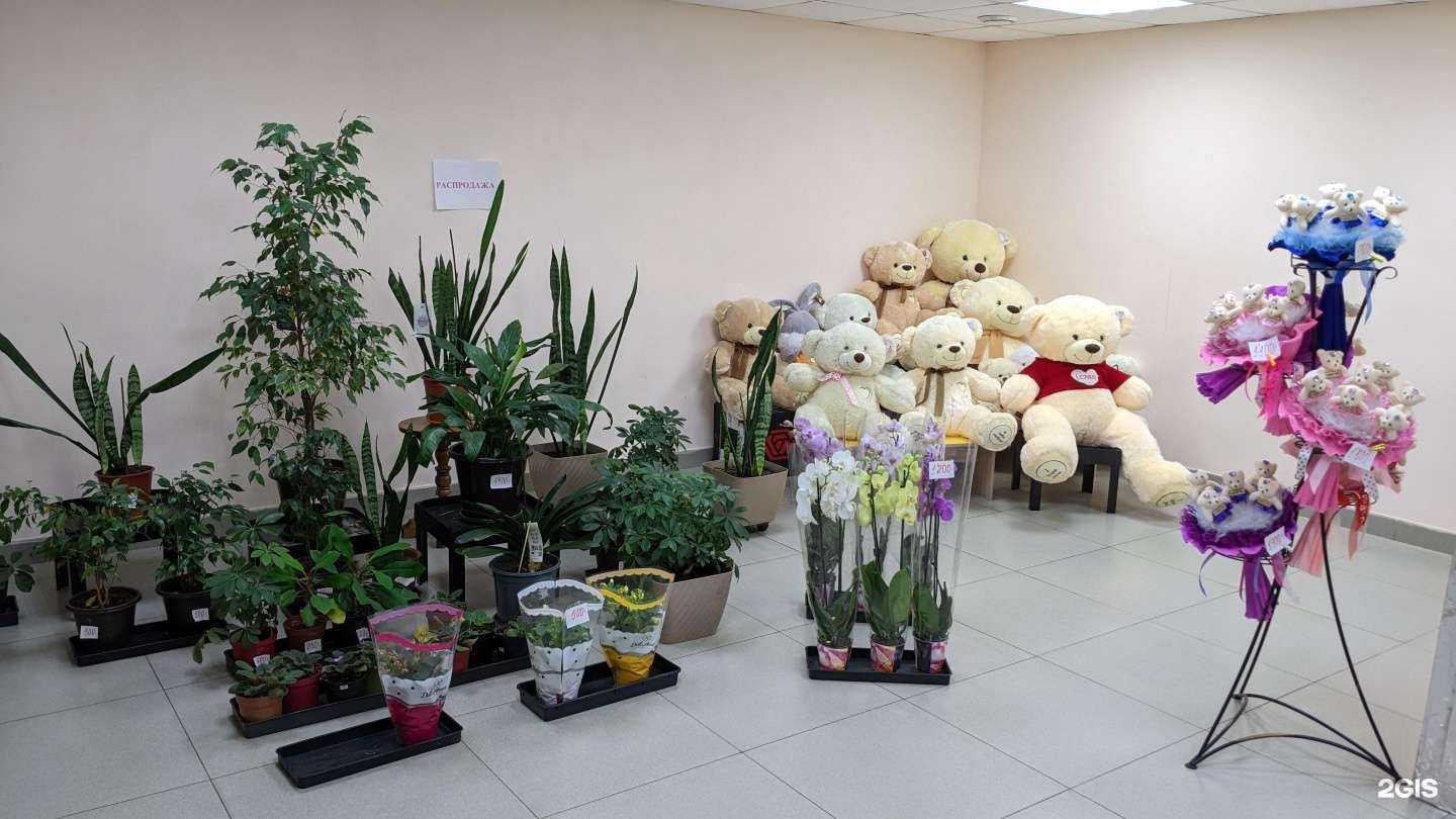 Отзывы на компанию Да! Букет в г. Улан-Удэ c фото