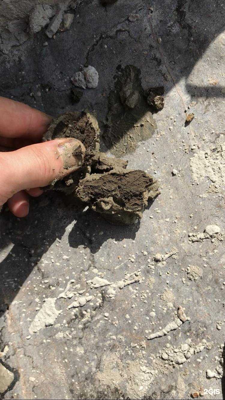 Отзывы на компанию Неклюдовский бетонный завод в г. Бор c фото