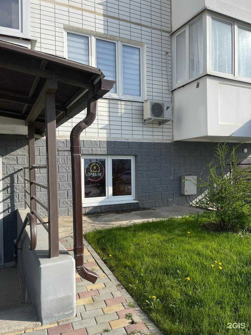 Отзывы на компанию oh my dog в г. Анапа c фото