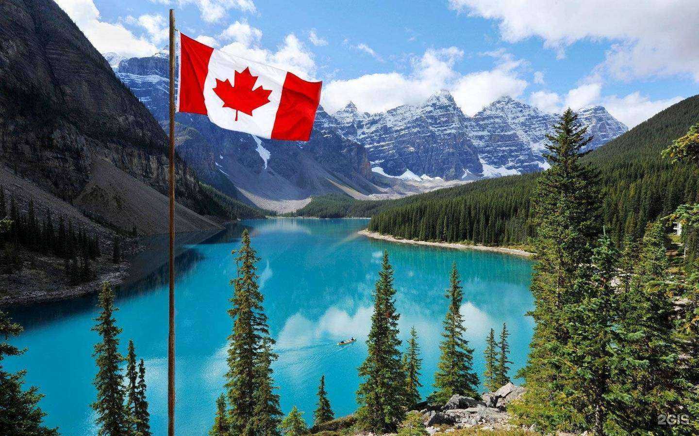 Отзывы на компанию Невский в Санкт-Петербурге c фото