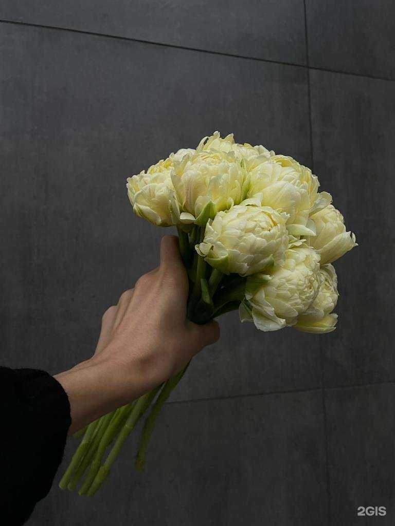Отзывы на компанию Цветущий в г. Махачкала c фото