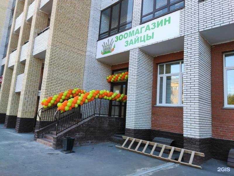 Отзывы на компанию Зайцы в Омске c фото