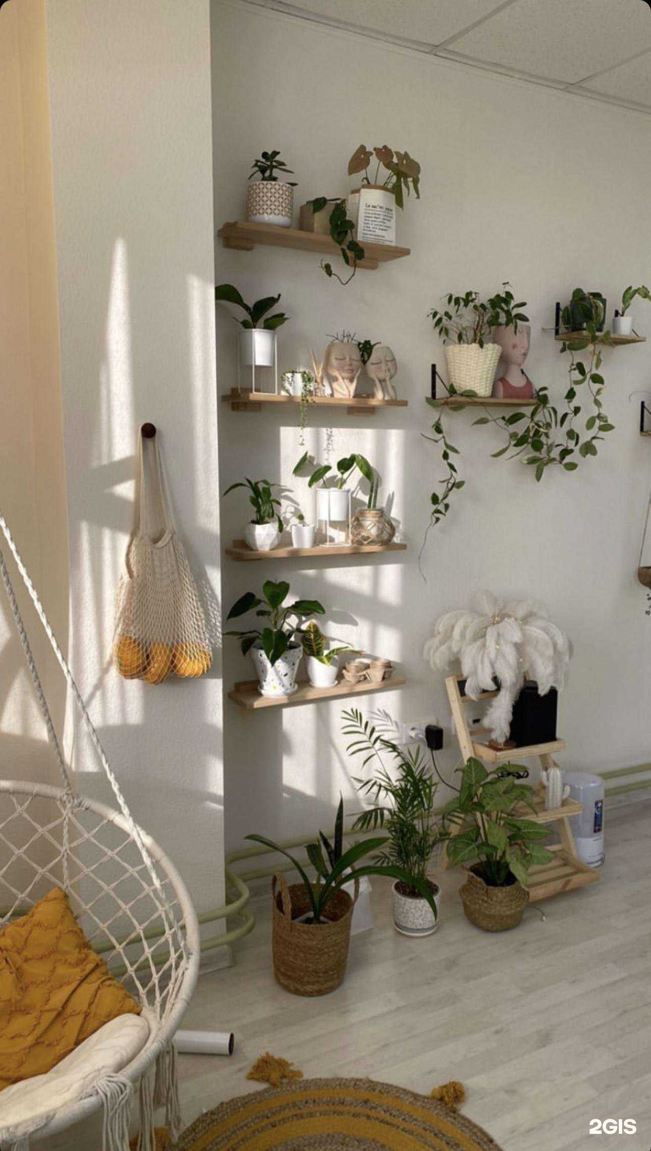 Отзывы на компанию Студия эпиляции в Кемерове c фото