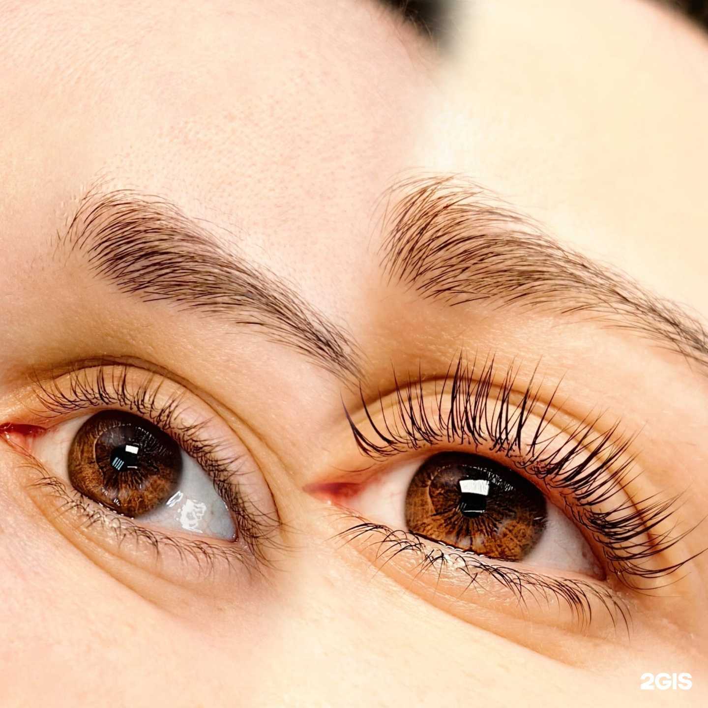 Отзывы на компанию Lashes Story в г. Хабаровск c фото