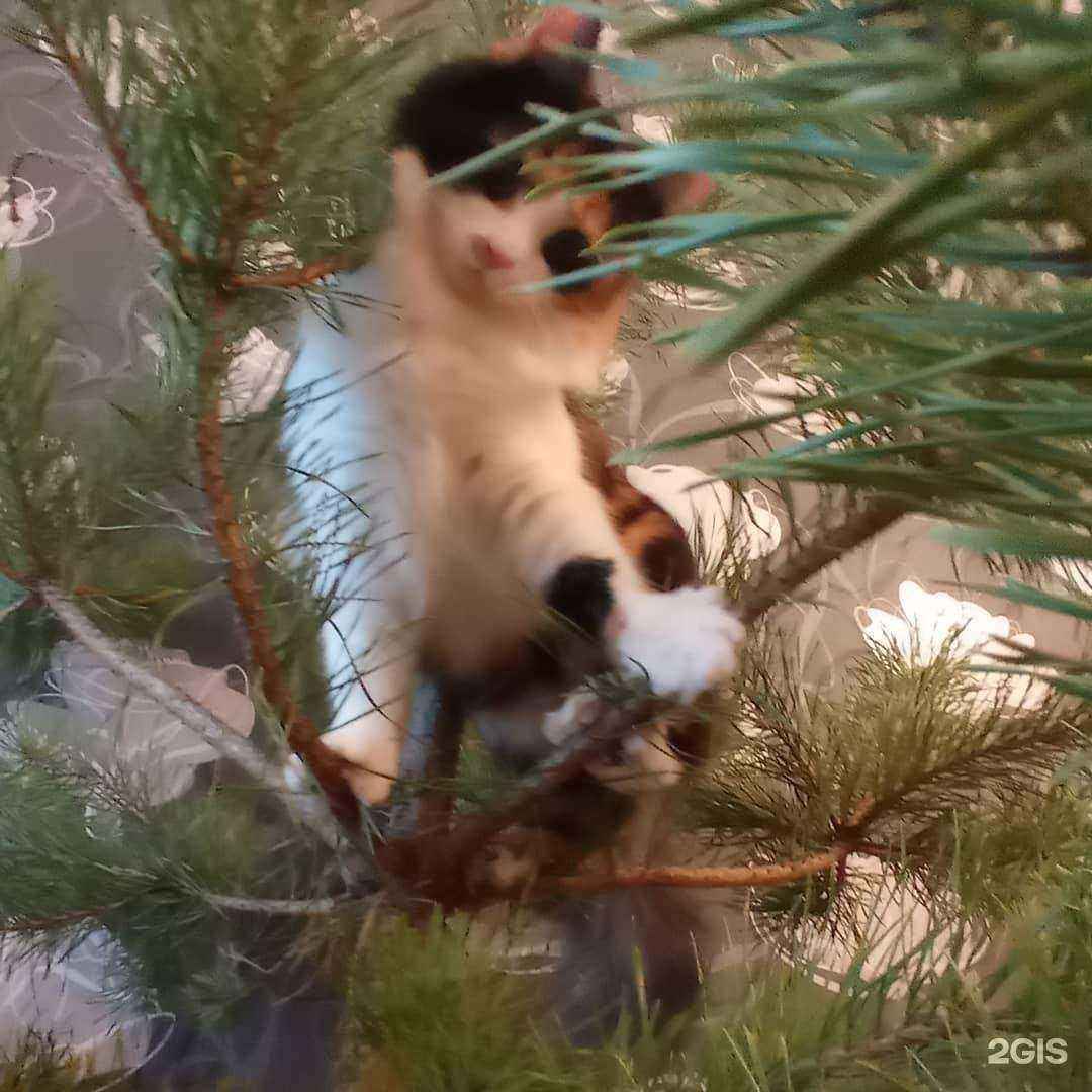 Отзывы на компанию Магазин детских товаров в Жуковском c фото