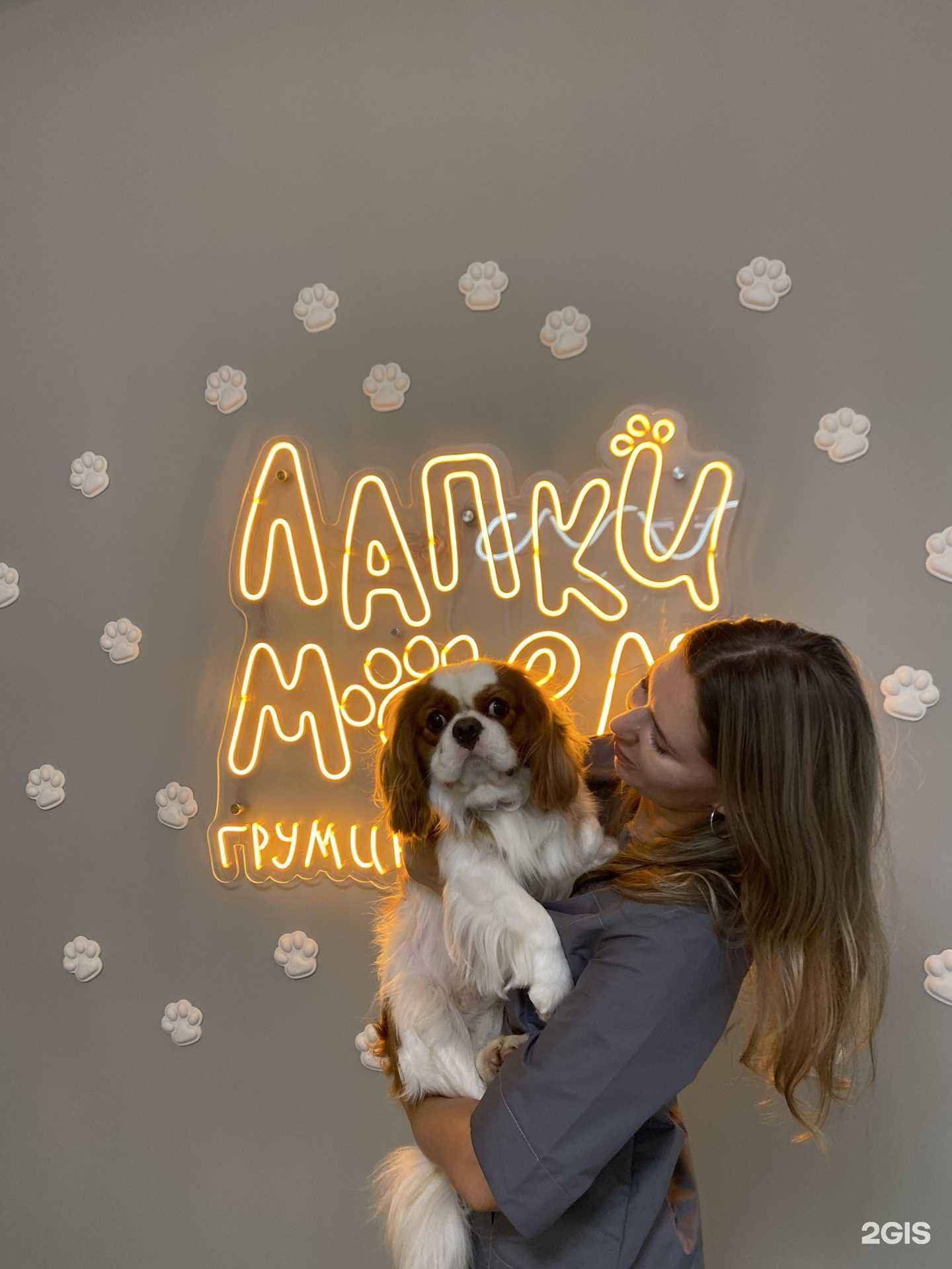 Отзывы на компанию Лапки моем в г. Краснодар c фото