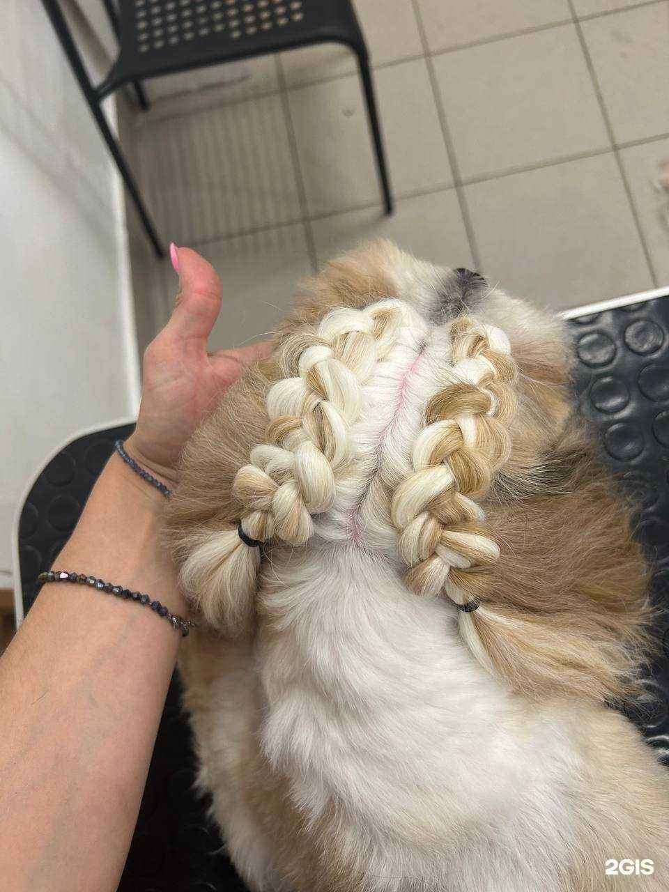 Отзывы на компанию ZooDiscount в Магнитогорске c фото