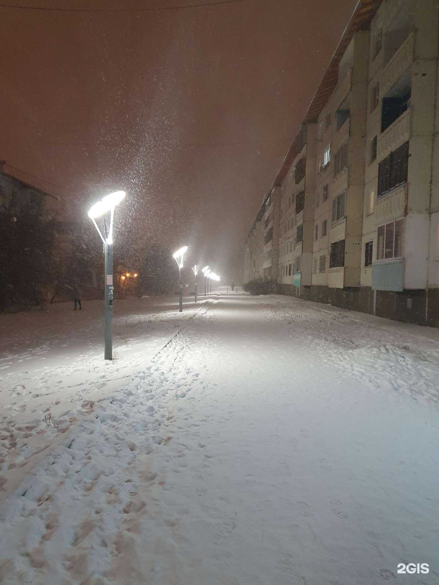 Отзывы на компанию Любимчик в Иркутске c фото - фотография 2 из 2