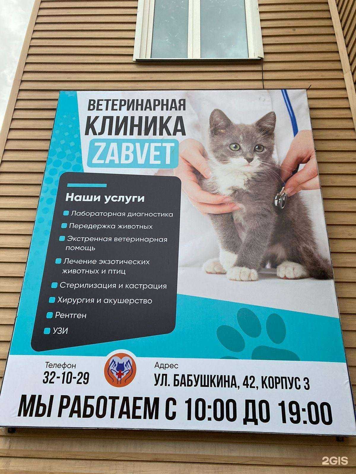 Отзывы на компанию ZabVet в г. Чита c фото