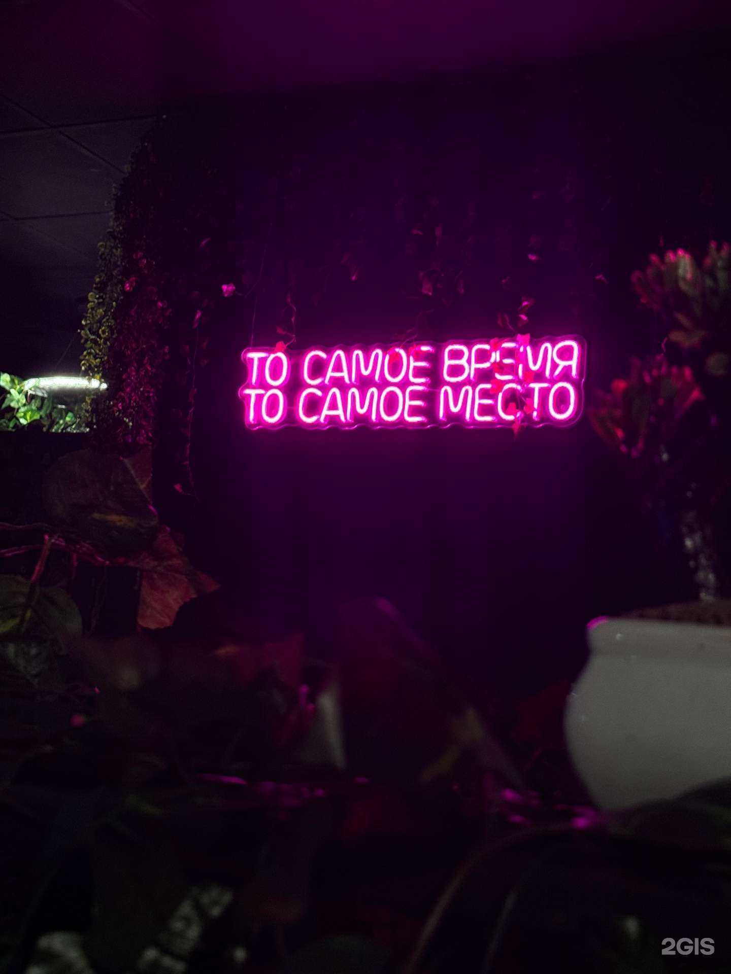 Отзывы на компанию У Друзей в Тюмени c фото