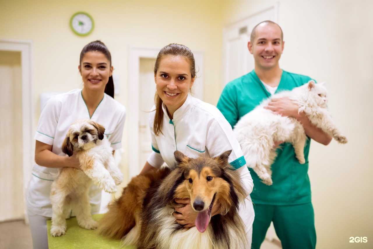 Отзывы на компанию Багира в Краснодаре c фото