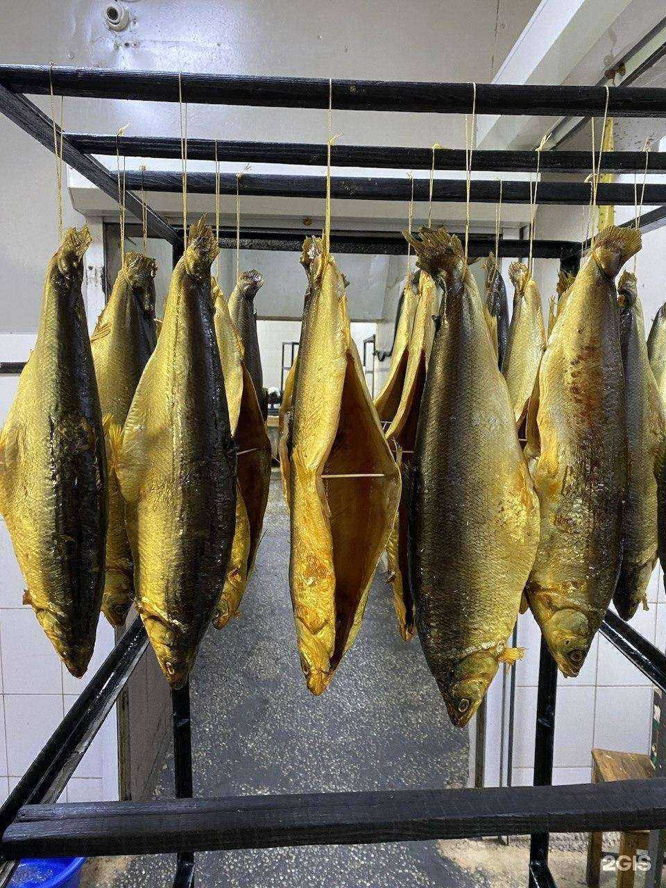 Отзывы на компанию Океан 24 в Красноярске c фото