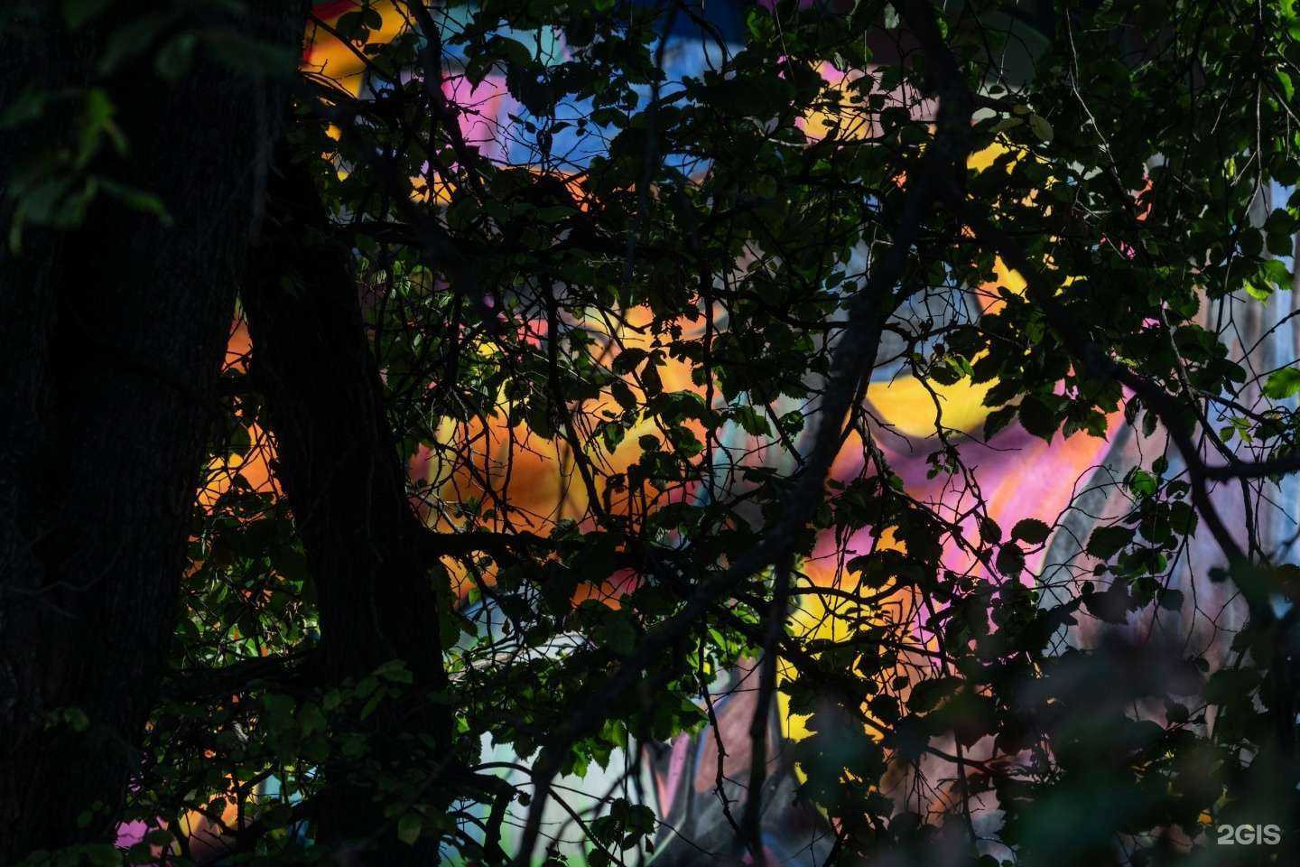 Отзывы на компанию Художественная школа им. В.Н. Корбакова в Вологде c фото