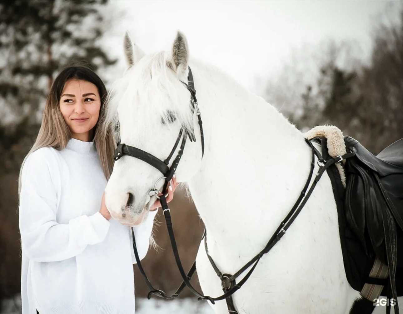 Отзывы на компанию Ход Конем в Красноярске c фото
