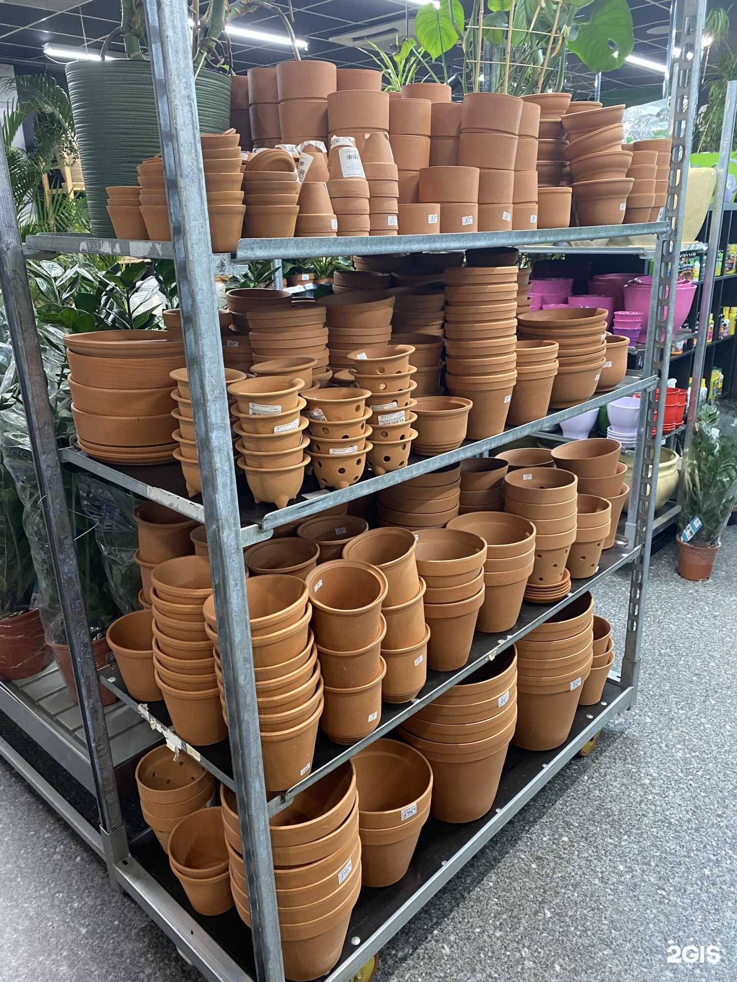 Отзывы на компанию Зелёный в г. Старый Оскол c фото