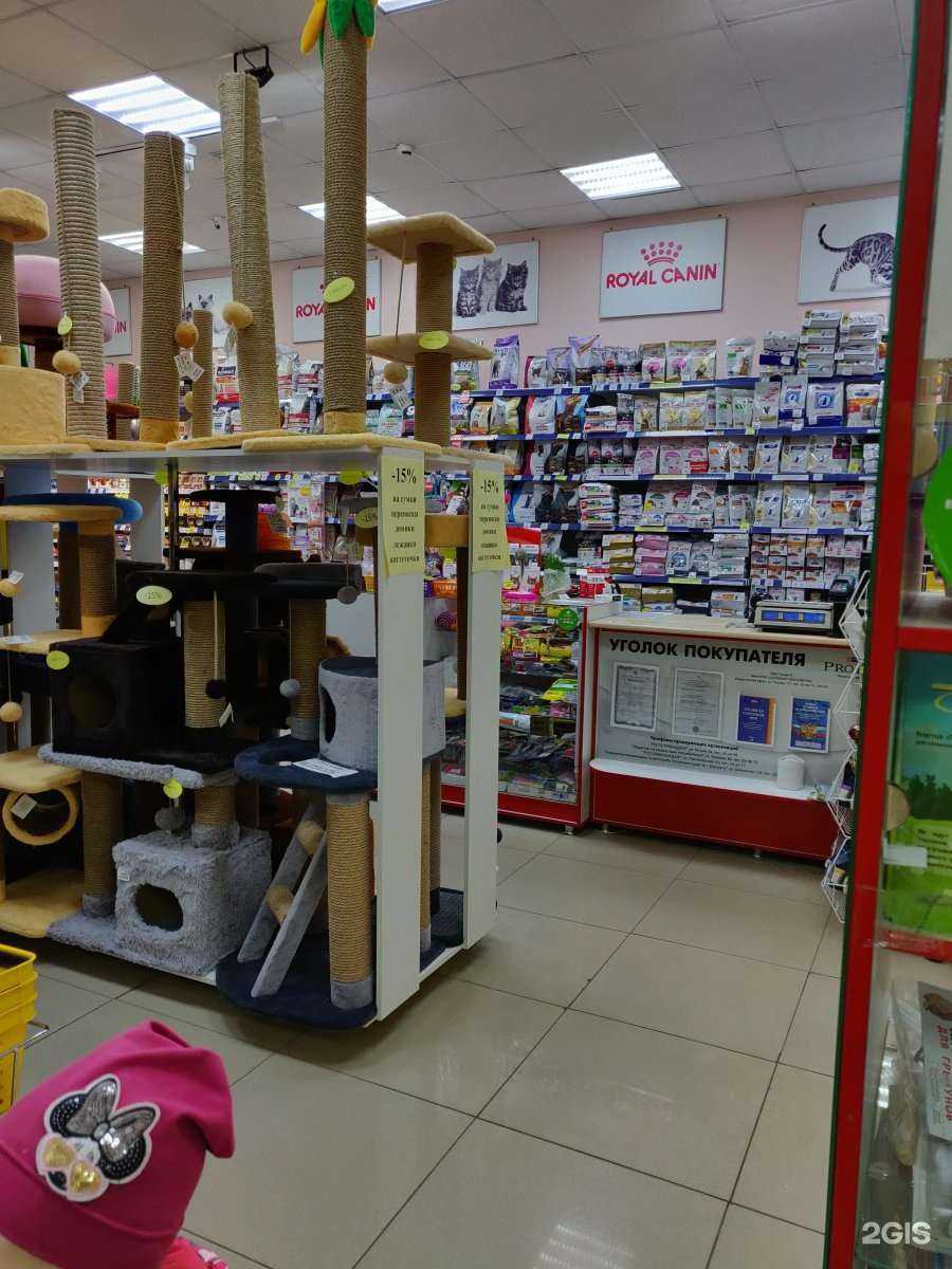 Отзывы на компанию Альф в Барнауле c фото