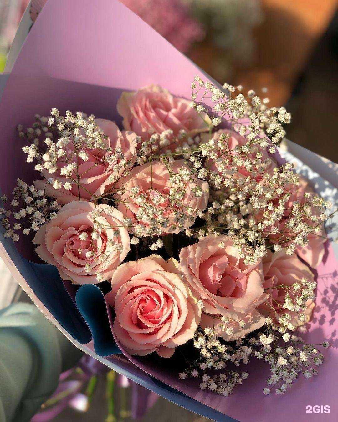 Отзывы на компанию Ирис в Владивостоке c фото