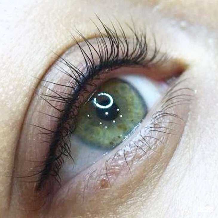 Отзывы на компанию Стриж и Кo в Краснодаре c фото