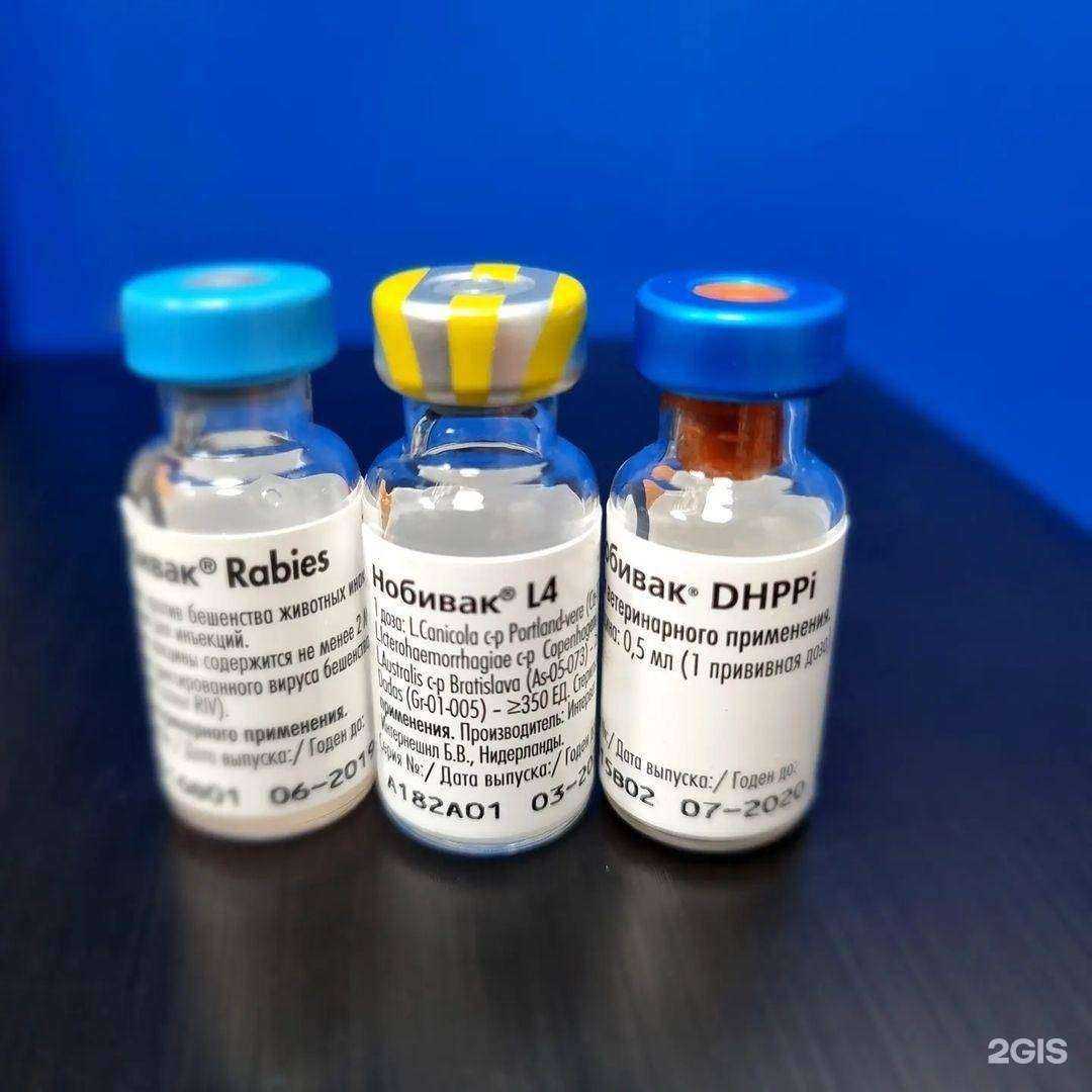 Отзывы на компанию Ветаптека в Уссурийске c фото