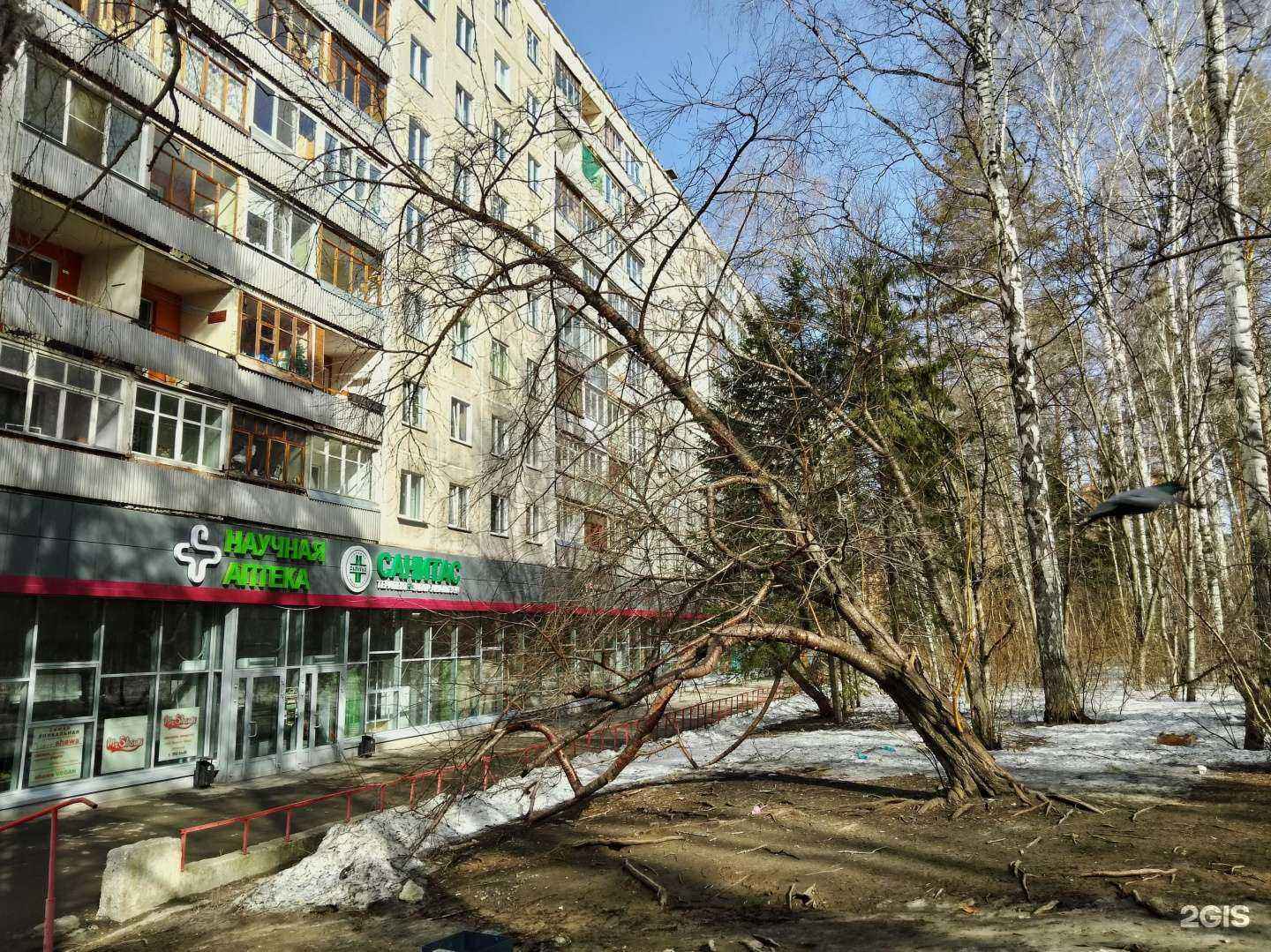 Отзывы на компанию Магазин овощей и фруктов в Новосибирске c фото - фотография 2 из 2