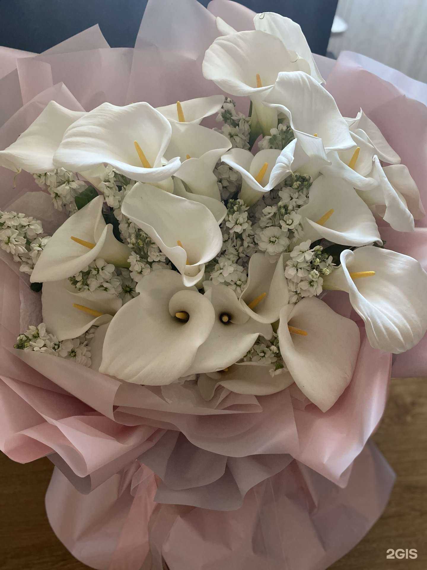 Отзывы на компанию Eva в Краснодаре c фото