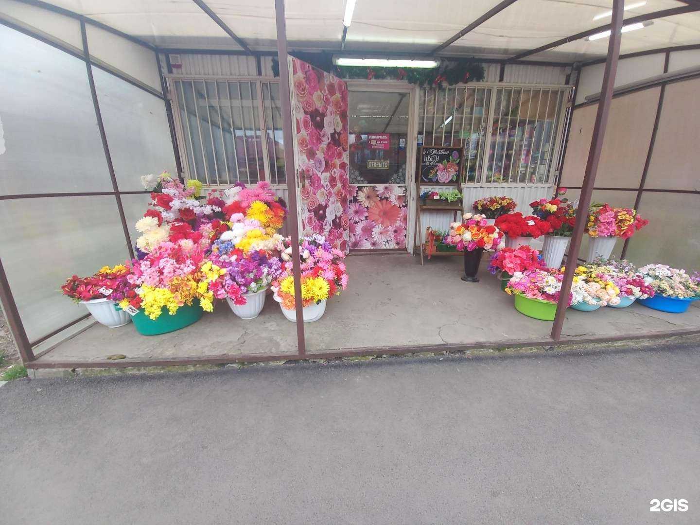 Отзывы на компанию Цветы для любимых в г. Майкоп c фото