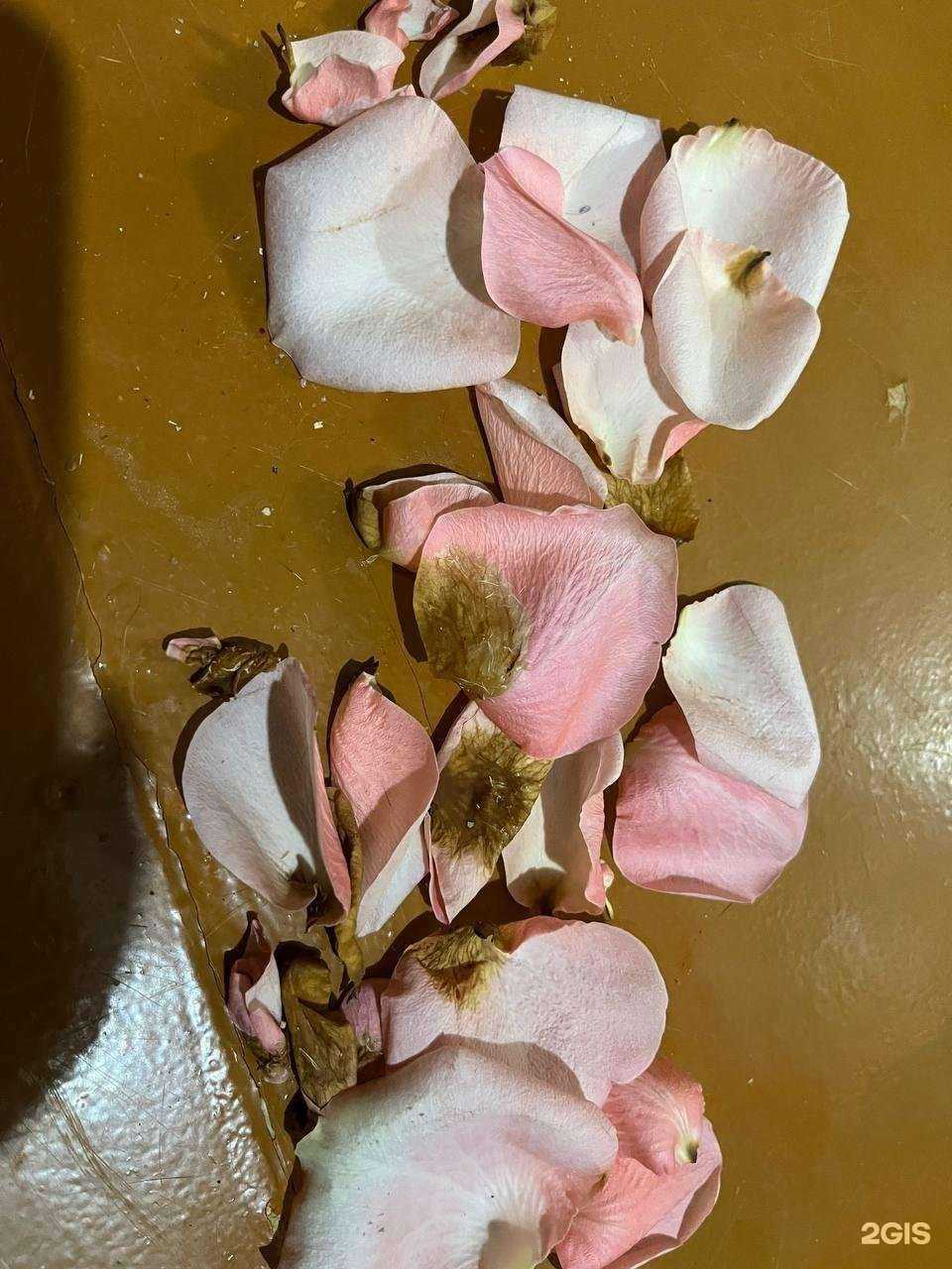 Отзывы на компанию Салон цветов в г. Кемерово c фото