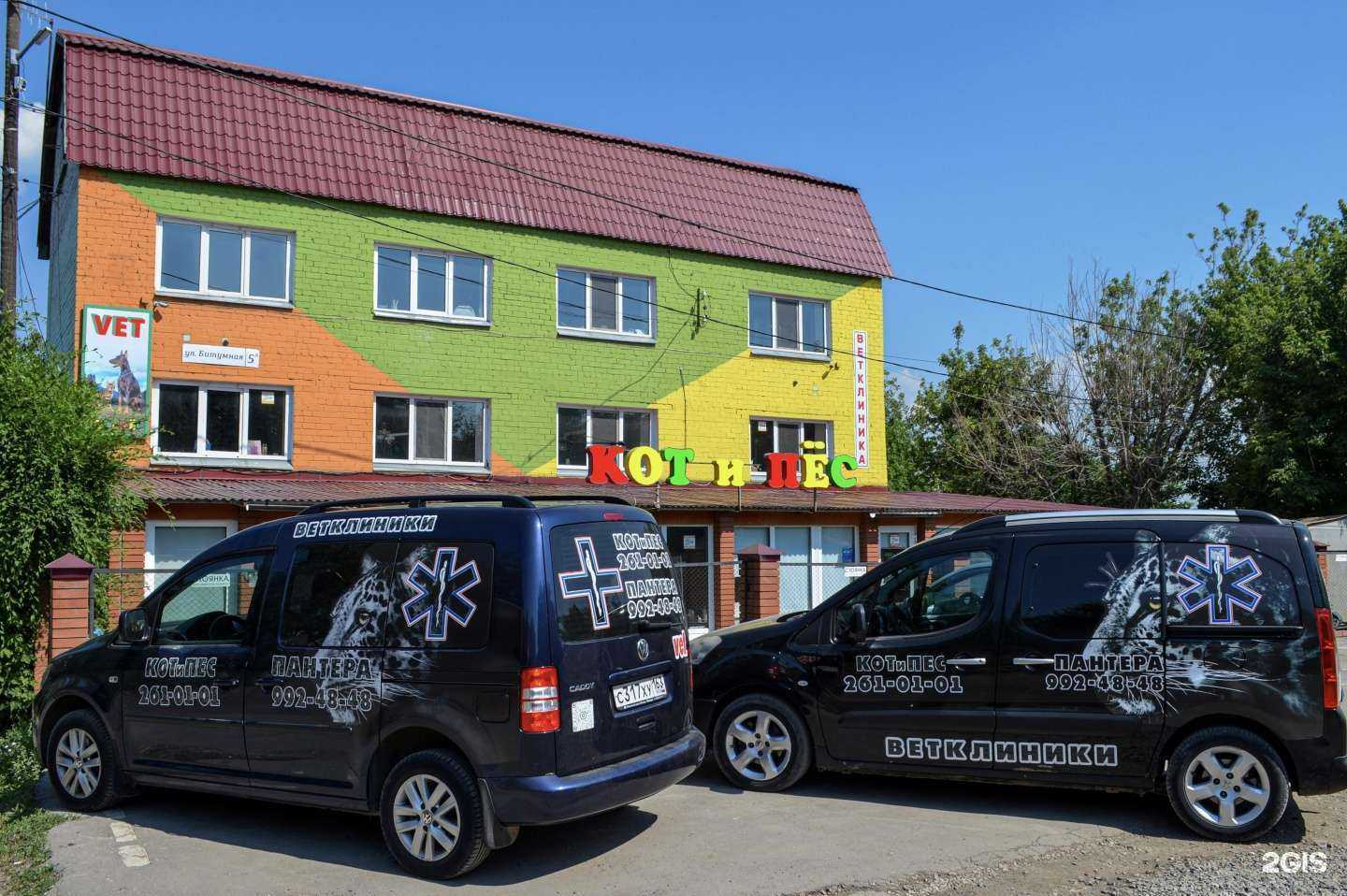 Отзывы на компанию Кот и Пёс в Самаре c фото