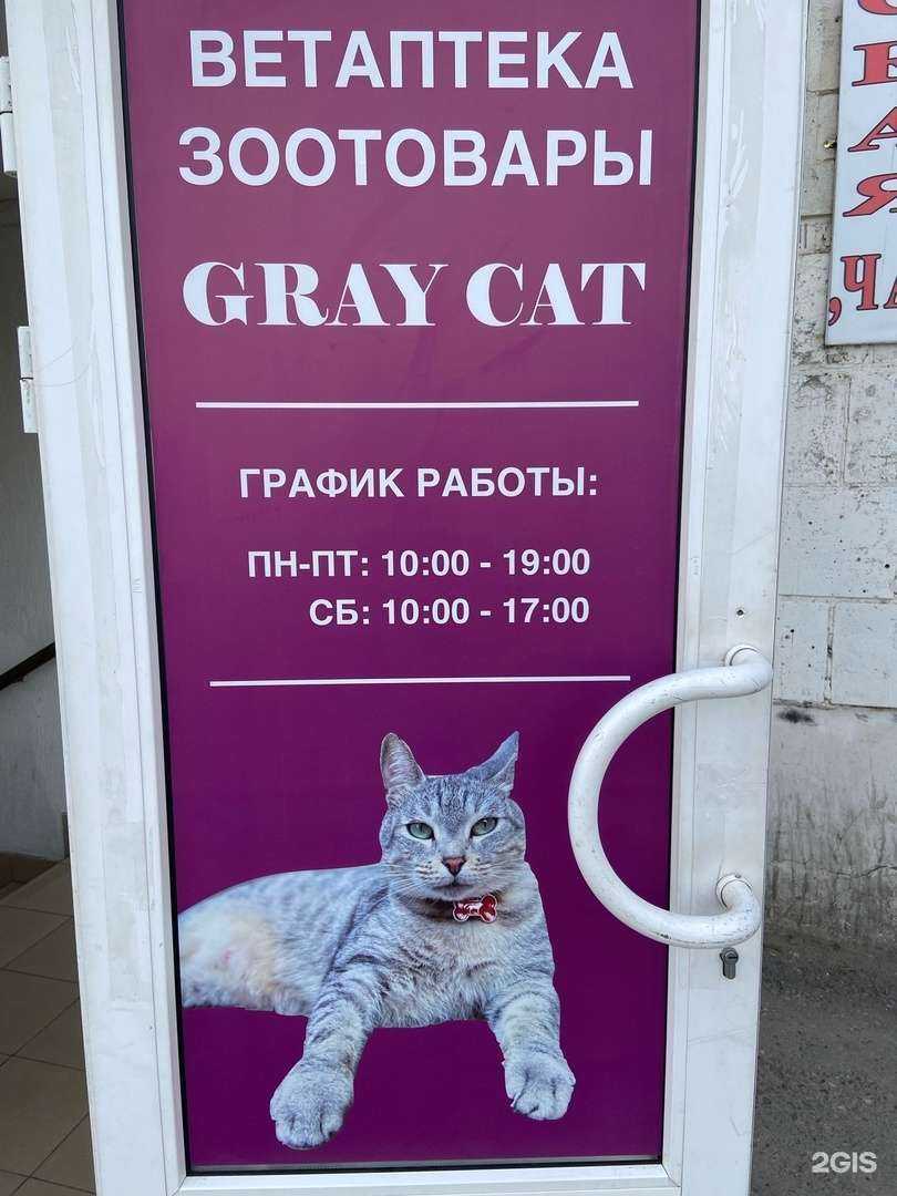 Отзывы на компанию Gray Cat в Волгограде c фото