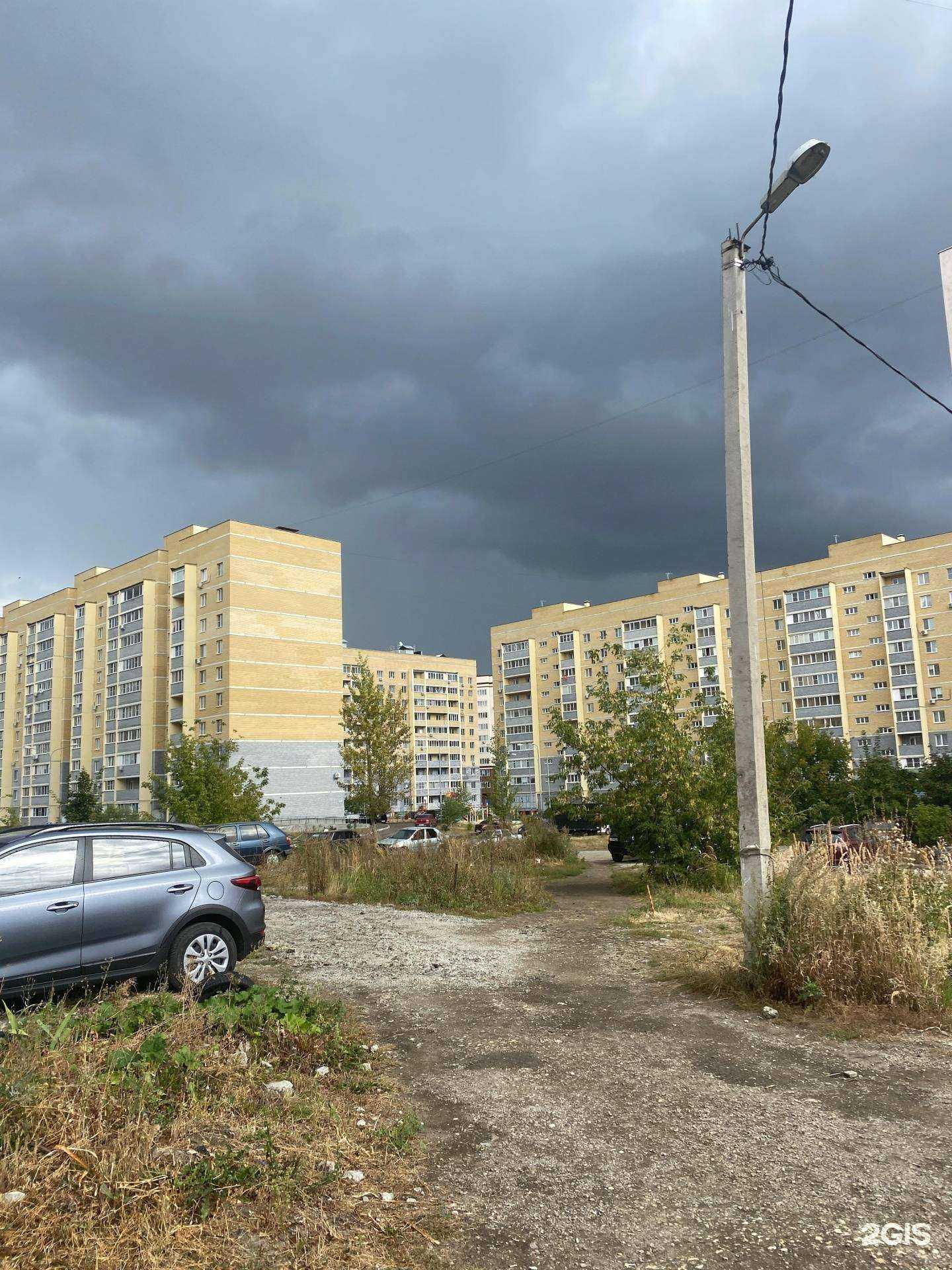 Отзывы на компанию Доктор Зоо в Пензе c фото - фотография 2 из 2