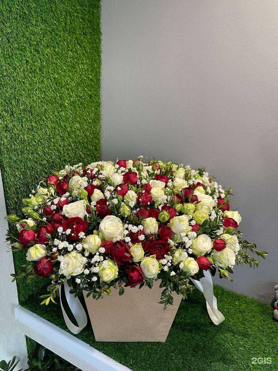 Отзывы на компанию Маркиза в Ставрополе c фото