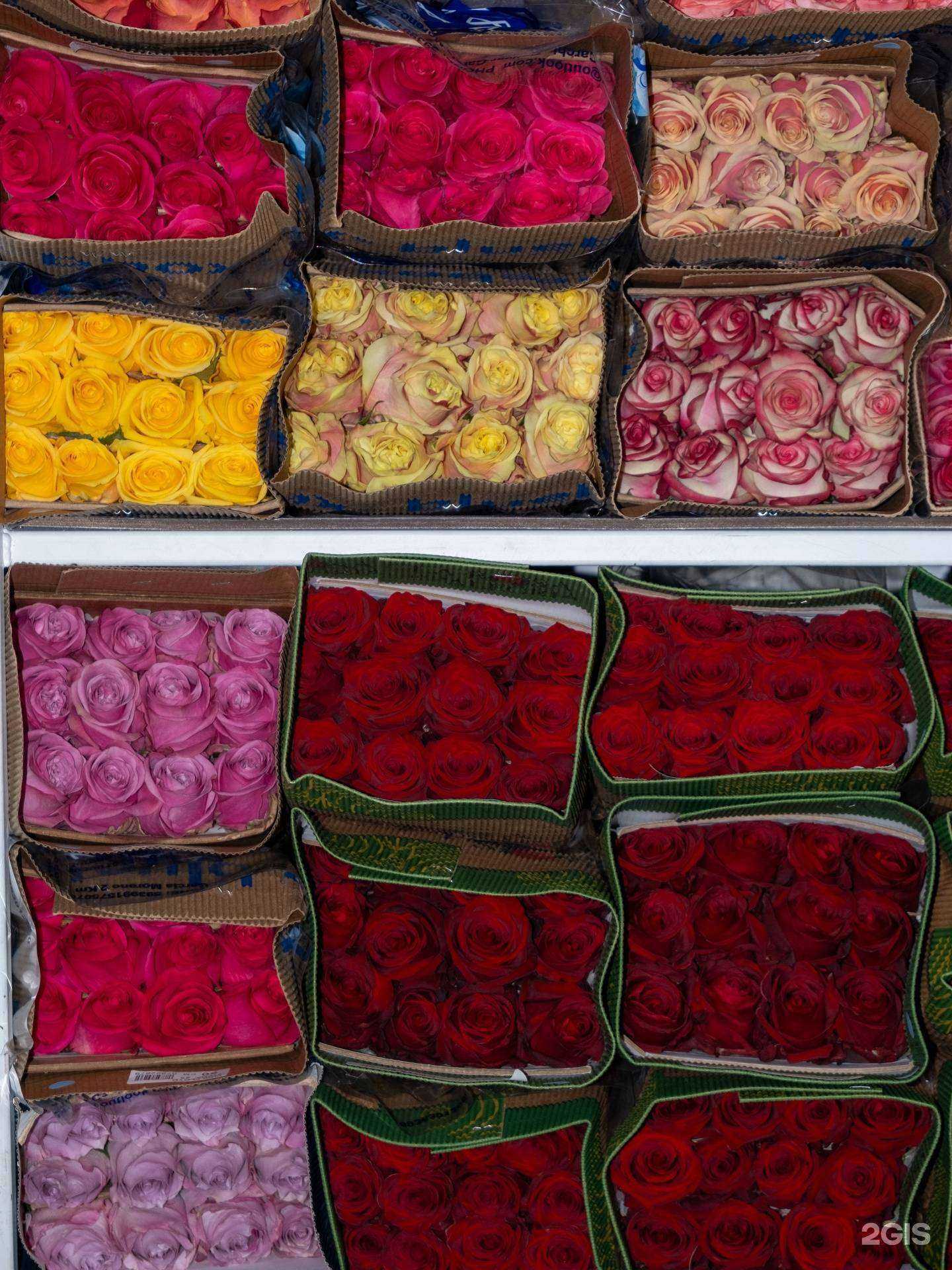 Отзывы на компанию Палисадник в Перми c фото